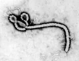 Dall’Africa nuovo allarme Ebola