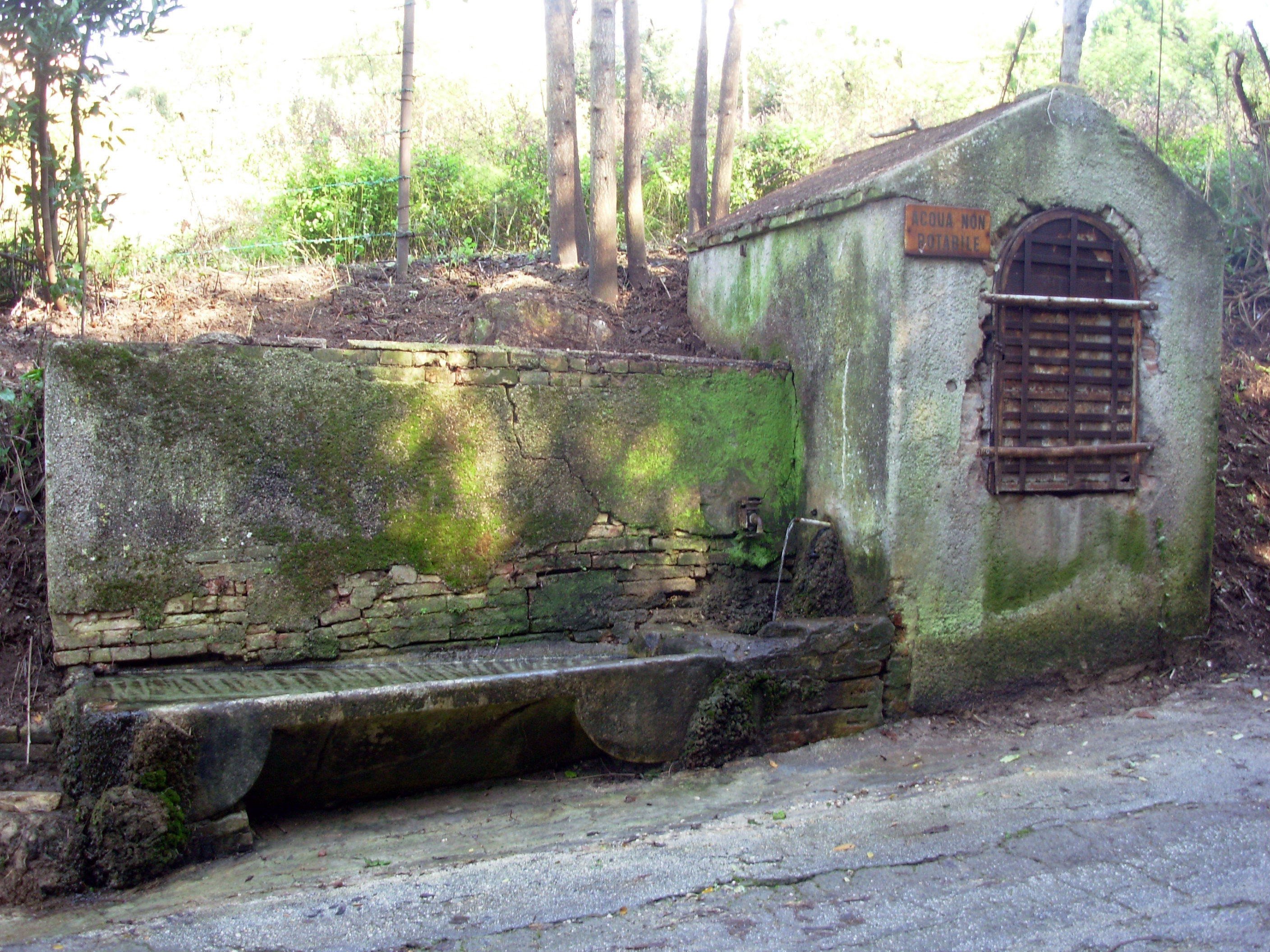 Il vicino di casa pulisce l’antica “Fonte delle Monache”