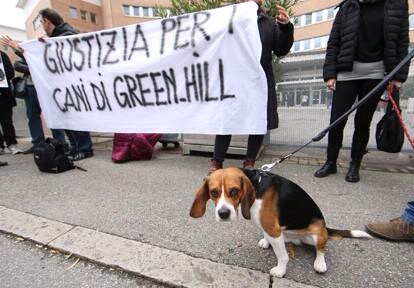 Processo di appello per gli orrori di Green Hill