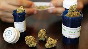 Cannabis terapeutica, “Marche in grave ritardo”