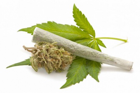 Cannabis terapeutica, 3 mesi per attuare la legge