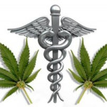 x Fed logo cannabis terapeutica