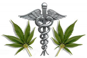 Cannabis terapeutica, norme carenti