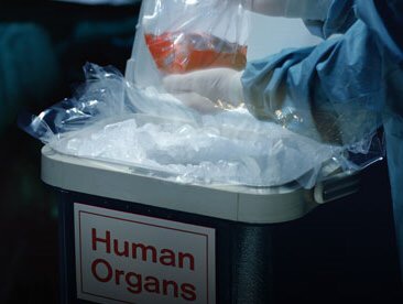 Inserito nel codice penale il traffico d’organo da vivente