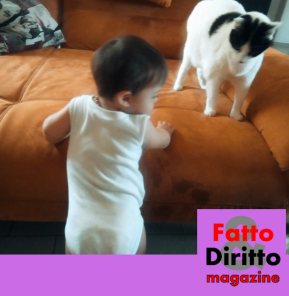 LA BUROCRAZIA CHE CREA BARRIERE: LA CORSA A OSTACOLI DI ARTURO