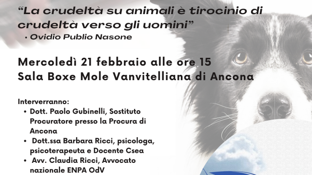 ANIMALI VITTIME DELL’UOMO – “LA CRUDELTÀ SU ANIMALI È TIROCINIO DI CRUDELTÀ VERSO GLI UOMINI” OVIDIO PUBLIO NASONE